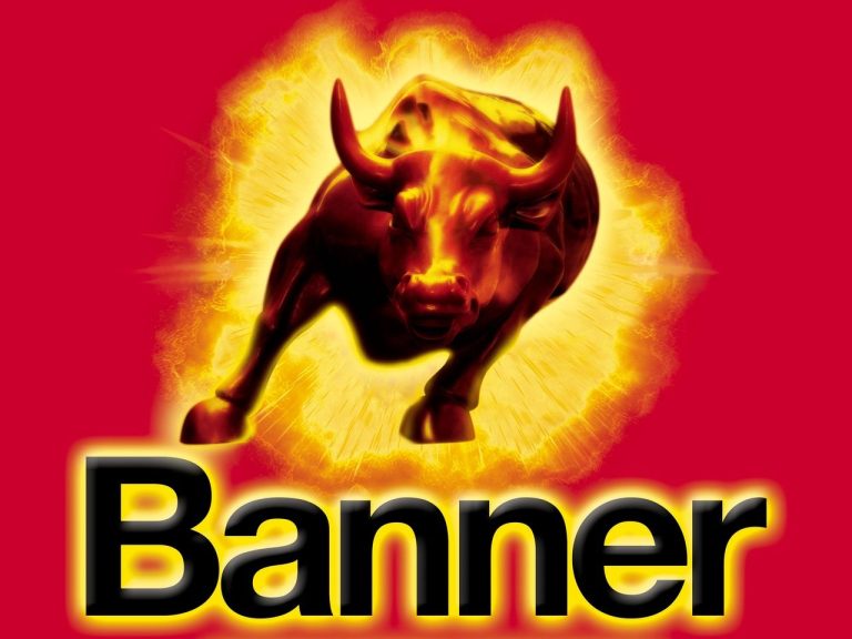 BANNER Batteries